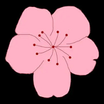 WWW,jjj85·COM网站APPAPP应用